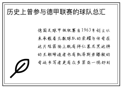 历史上曾参与德甲联赛的球队总汇